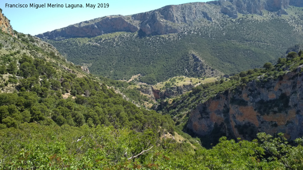 Cañón de la Tinaja - Cañón de la Tinaja. 