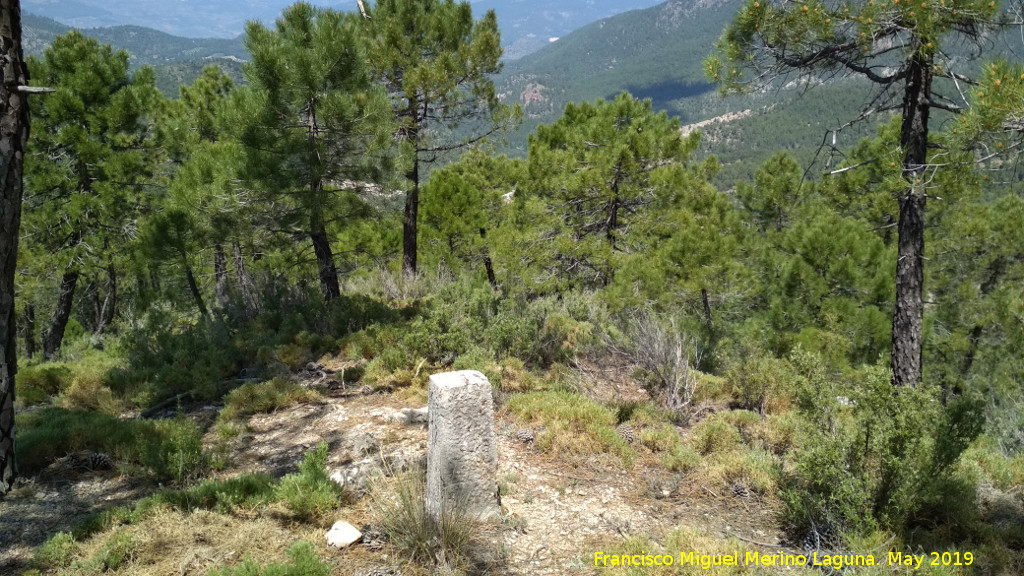 Cerro de la Laguna - Cerro de la Laguna. Mojón