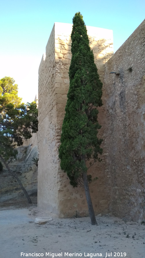 Castillo de Santa Bárbara. Torre del Colomer - Castillo de Santa Bárbara. Torre del Colomer. 