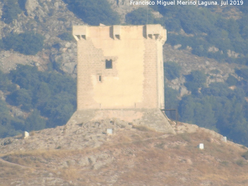 Castillo de Cocentaina - Castillo de Cocentaina. 