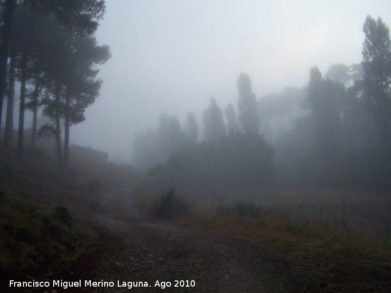 Aldea Cañada del Saucar - Aldea Cañada del Saucar. 