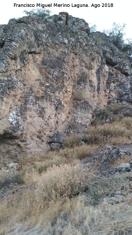 Pinturas rupestres del Abrigo de Mingo López I - Pinturas rupestres del Abrigo de Mingo López I. Farallón rocoso donde se encuentran los abrigos