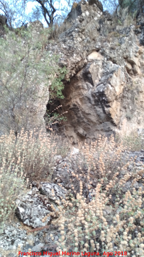 Pinturas rupestres y grabados de la Cueva de Mingo Lpez - Pinturas rupestres y grabados de la Cueva de Mingo Lpez. Cueva
