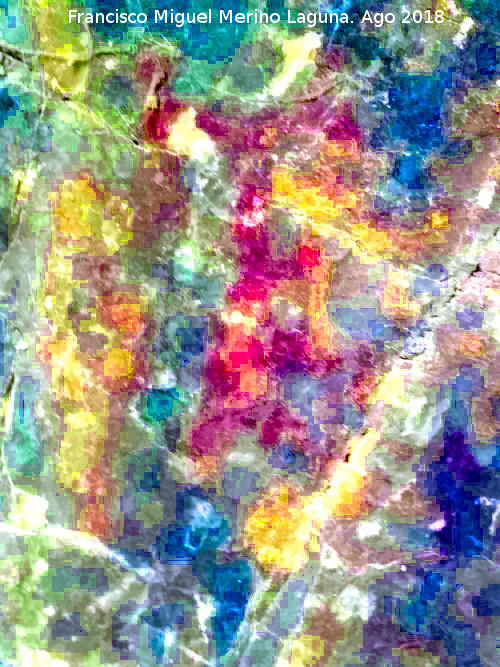 Pinturas rupestres y grabados de la Cueva de Mingo López - Pinturas rupestres y grabados de la Cueva de Mingo López. Figura. Tatada con Dstrerch