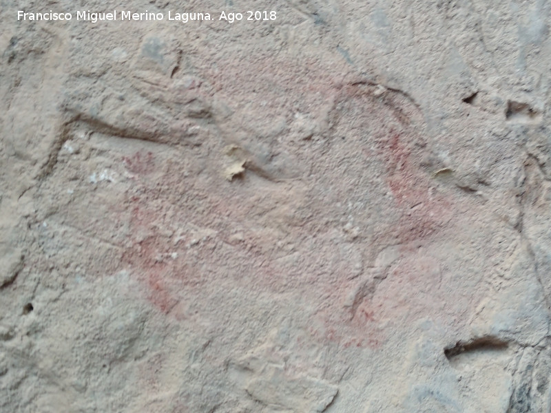 Pinturas rupestres y grabados de la Cueva de Mingo López - Pinturas rupestres y grabados de la Cueva de Mingo López. 