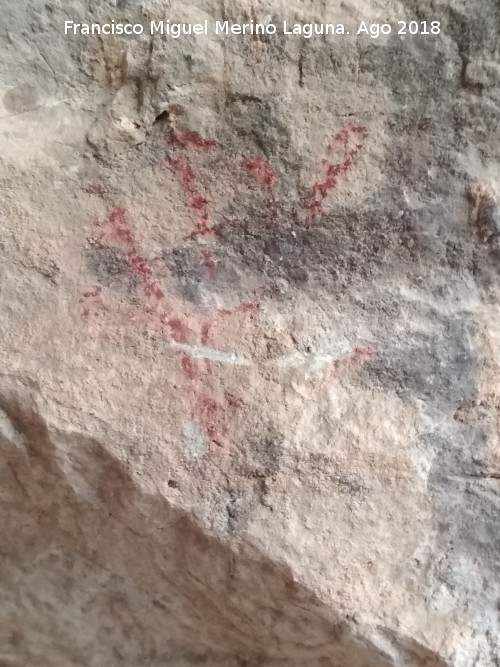 Pinturas rupestres y grabados de la Cueva de Mingo López - Pinturas rupestres y grabados de la Cueva de Mingo López. 