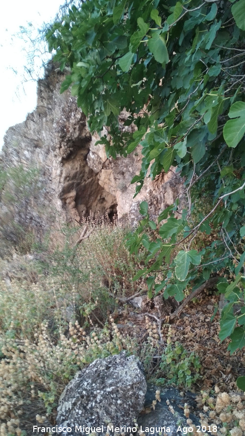 Pinturas rupestres y grabados de la Cueva de Mingo Lpez - Pinturas rupestres y grabados de la Cueva de Mingo Lpez. Cueva