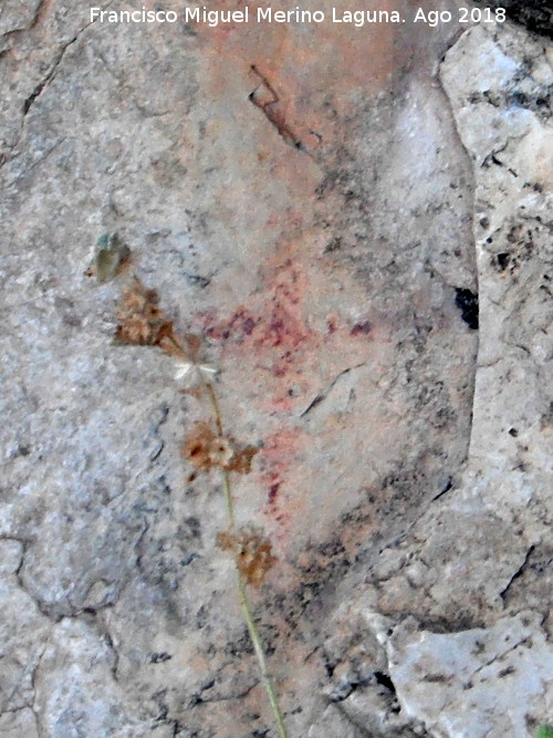 Pinturas rupestres de la Raspa de Piedra Redonda III - Pinturas rupestres de la Raspa de Piedra Redonda III. Cruciforme en la pared izquierda