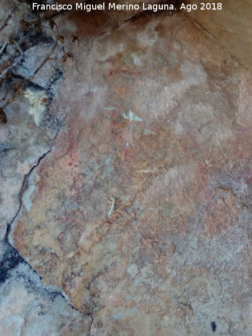 Pinturas rupestres de la Raspa de Piedra Redonda III - Pinturas rupestres de la Raspa de Piedra Redonda III. Vulva
