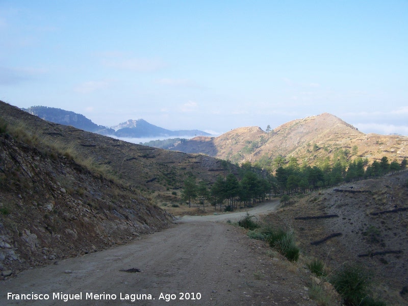 Camino de Cañada del Saucar - Camino de Cañada del Saucar. 