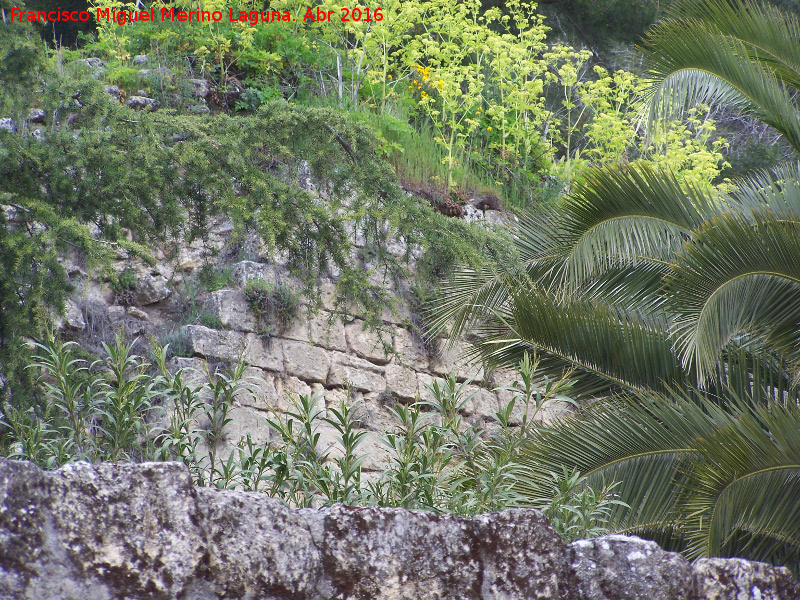 La Mota. Muralla del Arrabal Viejo - La Mota. Muralla del Arrabal Viejo. Muralla de sillería cercana a la Puerta Martín Ruiz