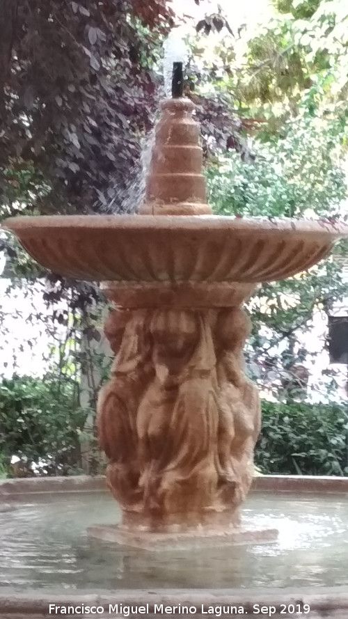 Fuente de los Campos - Fuente de los Campos. 