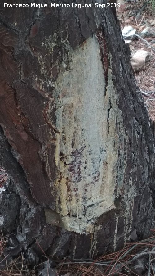Resinero - Resinero. Paraje del Hornillo - Santa Elena