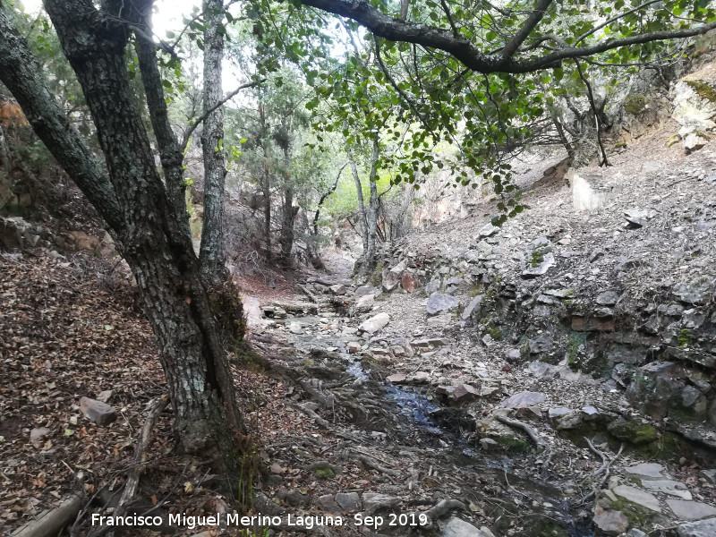 Arroyo del Batán - Arroyo del Batán. 