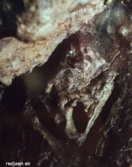 Vulva de arcilla de la Cueva de Bdeilhac - Vulva de arcilla de la Cueva de Bdeilhac. Vulva en arcilla. 14.500 aos. Paleomgina - Bedmar