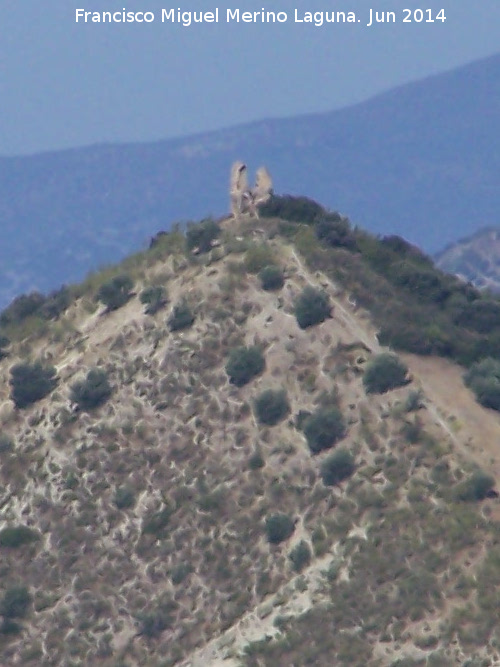 Torreón de la Sierra - Torreón de la Sierra. 
