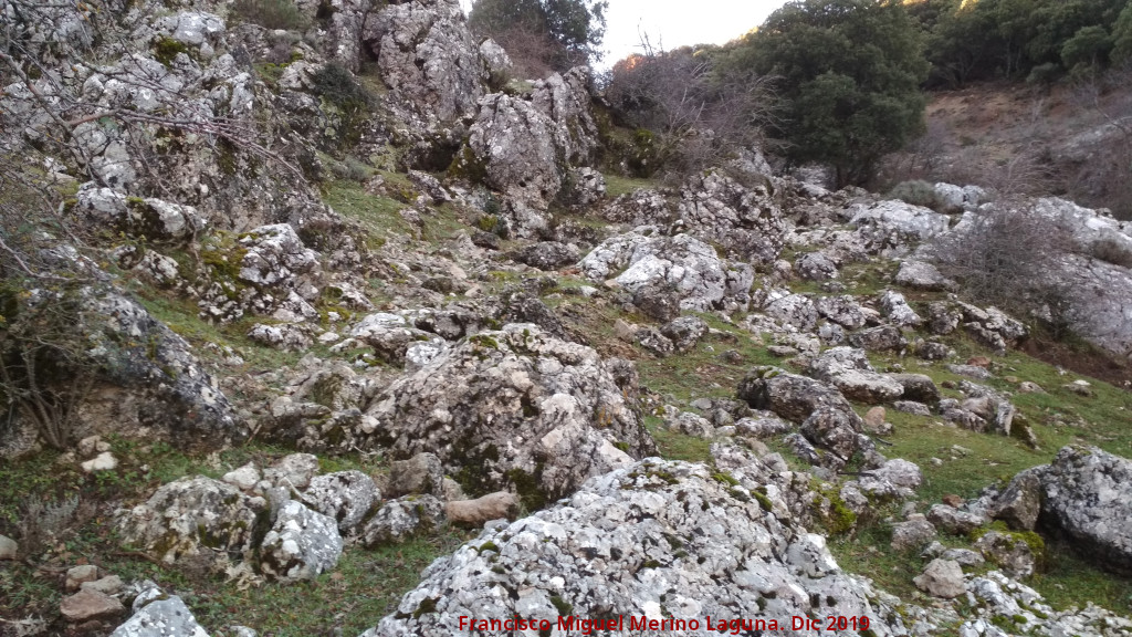 Trocha de Carboneros - Trocha de Carboneros. 
