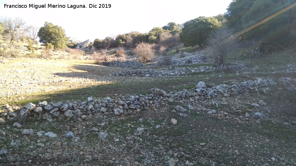 Bancales de los Habares - Bancales de los Habares. 