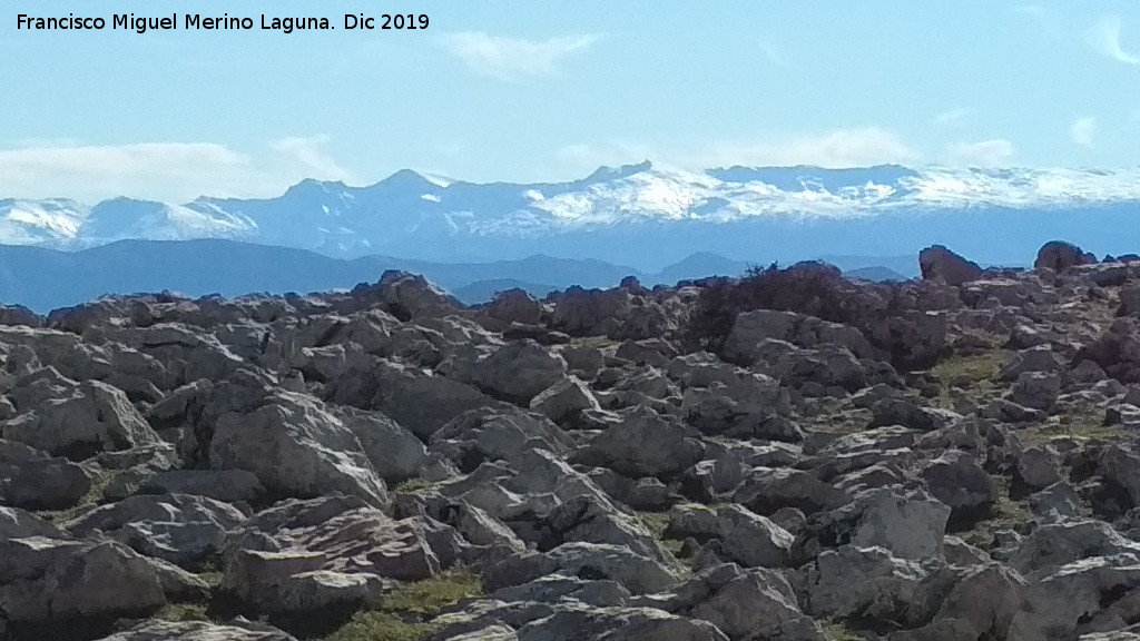 Collado del Tejuelo - Collado del Tejuelo. Con Sierra Nevada al fondo