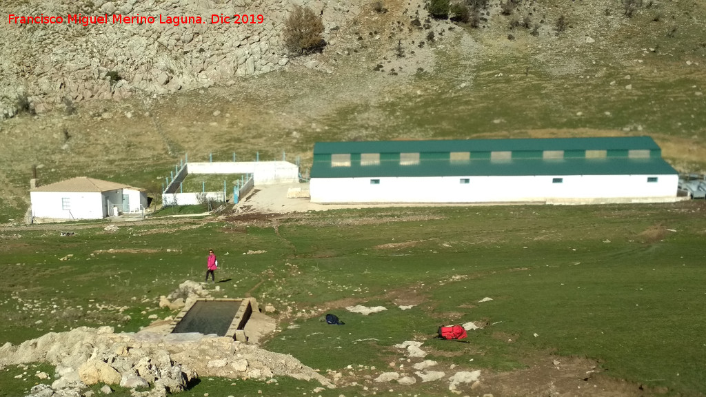 Cortijo del Tejuelo - Cortijo del Tejuelo. 