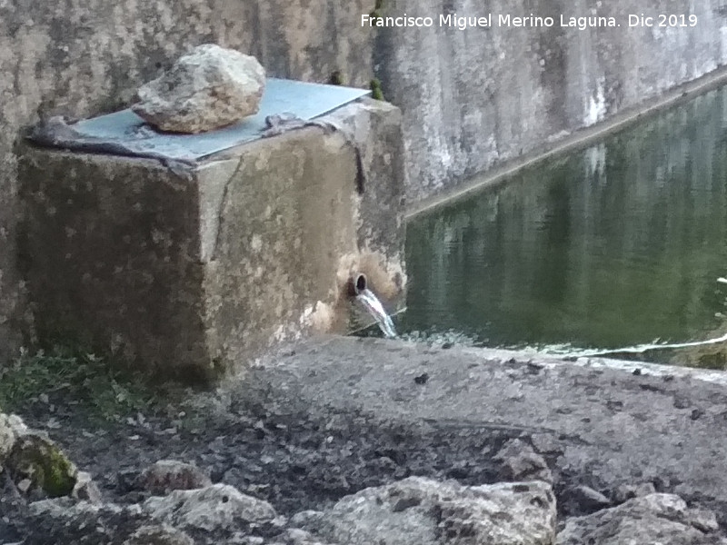 Fuente del Barranco del Tejuelo - Fuente del Barranco del Tejuelo. Ca�o