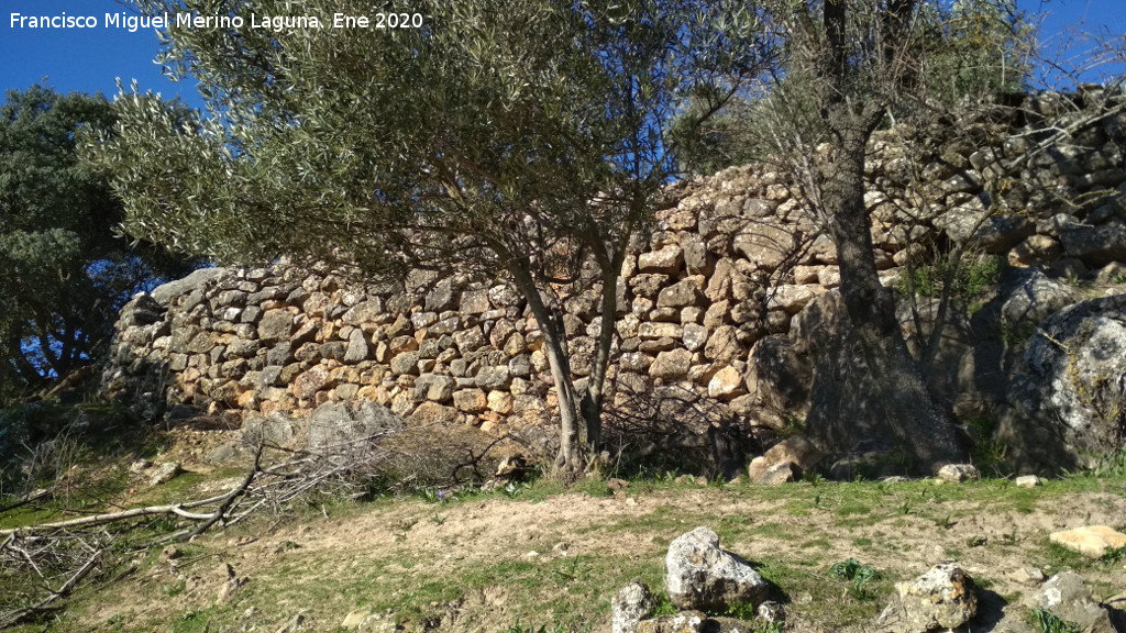 Oppidum de la Gineta - Oppidum de la Gineta. Muralla