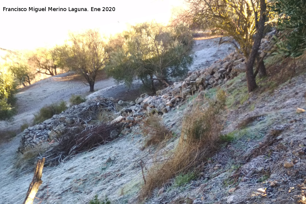 Oppidum de la Gineta - Oppidum de la Gineta. Tore�n