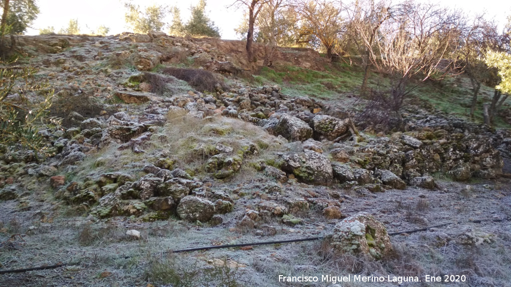 Oppidum de la Gineta - Oppidum de la Gineta. Torre�n y muralla