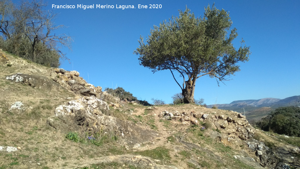 Oppidum de la Gineta - Oppidum de la Gineta. �Puerta?