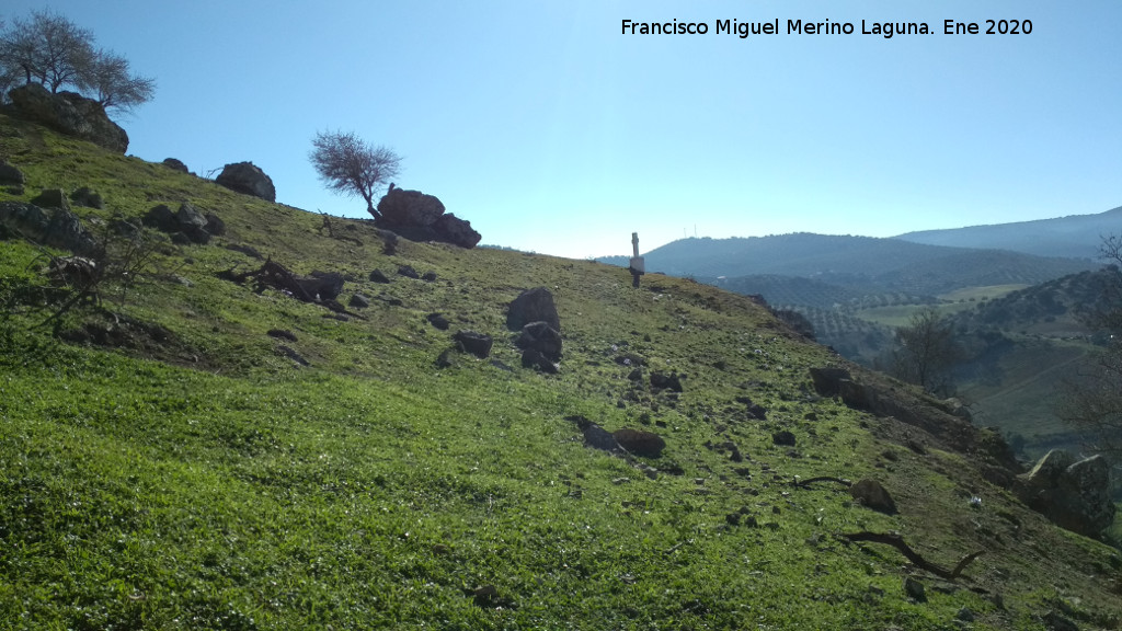 Cruz de la Gineta - Cruz de la Gineta. 
