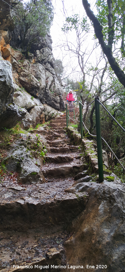 Sendero Cerrada de Utrero - Sendero Cerrada de Utrero. Escaleras