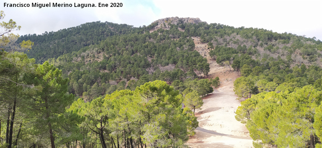 Cerro de la Torquilla - Cerro de la Torquilla. Ladera este