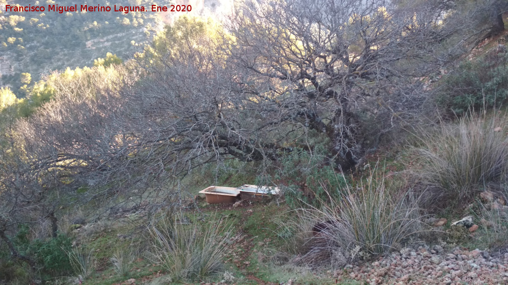 Fuente del Cerro Pinillo - Fuente del Cerro Pinillo. 