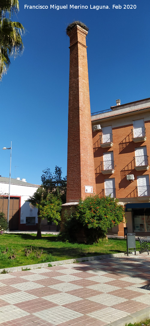 Plaza de las Cig�e�as - Plaza de las Cig�e�as. 