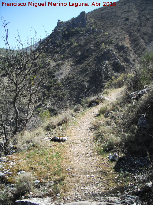 Cabecera del Río Albanchez - Cabecera del Río Albanchez. Camino