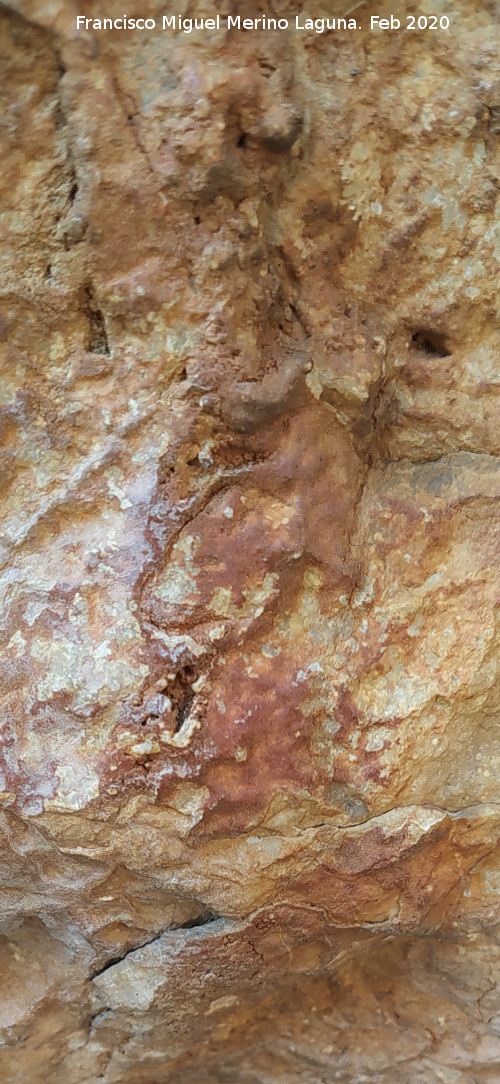 Pinturas rupestres Abrigo Este de las Pe�as de Castro IV - Pinturas rupestres Abrigo Este de las Pe�as de Castro IV. Restos de pintura rupestre