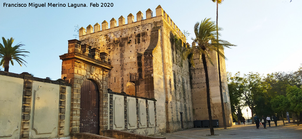 Alc�zar de Jerez. Torre del Homenaje - Alc�zar de Jerez. Torre del Homenaje. Extramuros