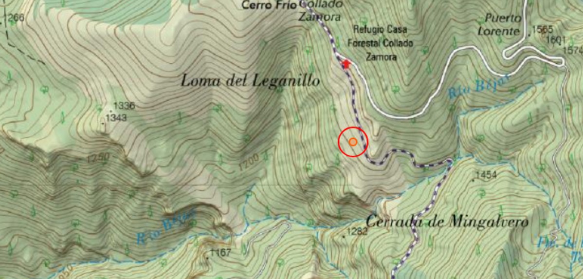 Pino de la Loma del Leganillo - Pino de la Loma del Leganillo. Mapa