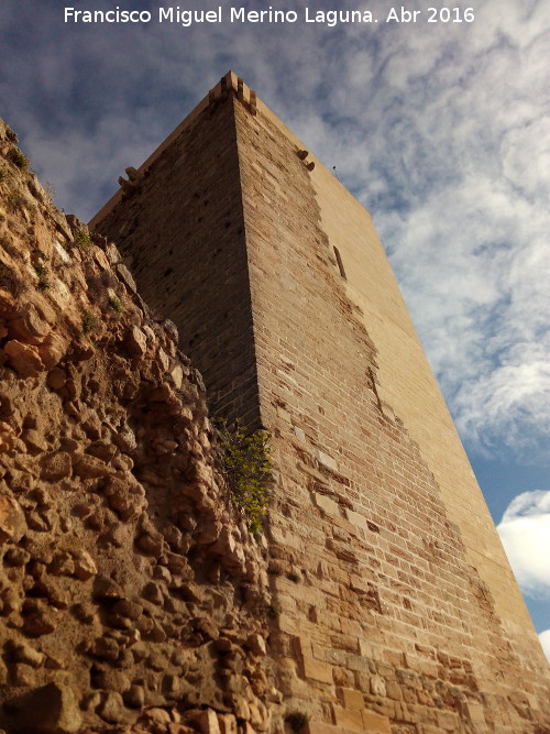 La Mota. Torre de la Crcel - La Mota. Torre de la Crcel. 