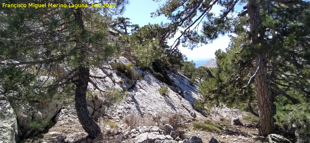 Loma de Cagasebo - Loma de Cagasebo. 