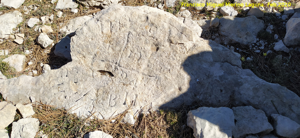 Grabado forestal de la Loma de Cagasebo - Grabado forestal de la Loma de Cagasebo. 