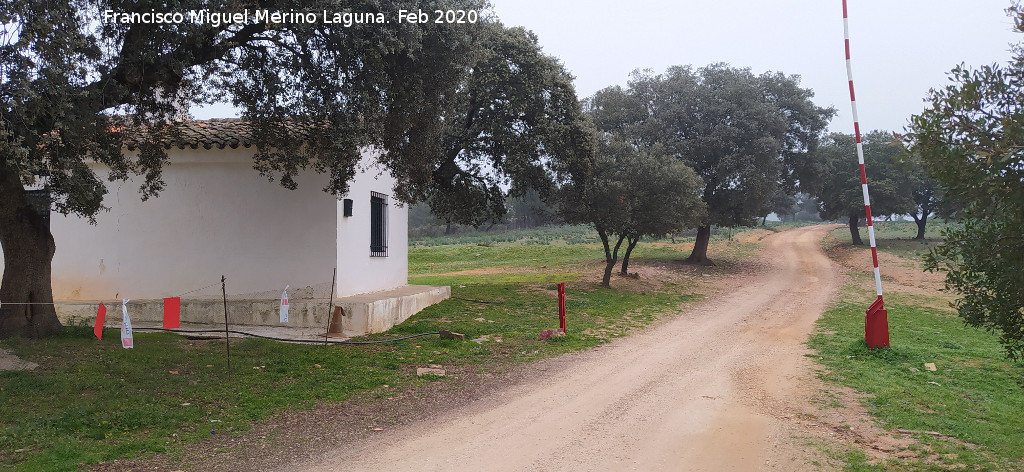 El Control - El Control. 