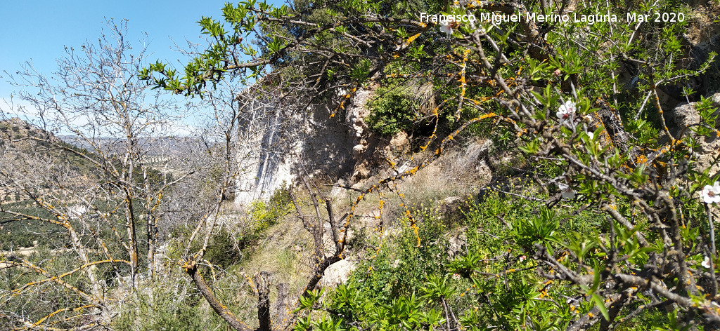 Cortijo de la Albardilla - Cortijo de la Albardilla. 