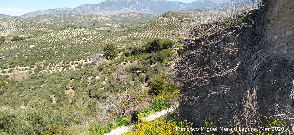 Cortijo de la Albardilla - Cortijo de la Albardilla. Desde el Cortijo de la Huerta.