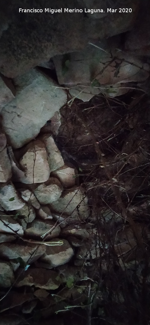 Caracol de la Veredilla - Caracol de la Veredilla. Falsa b�veda