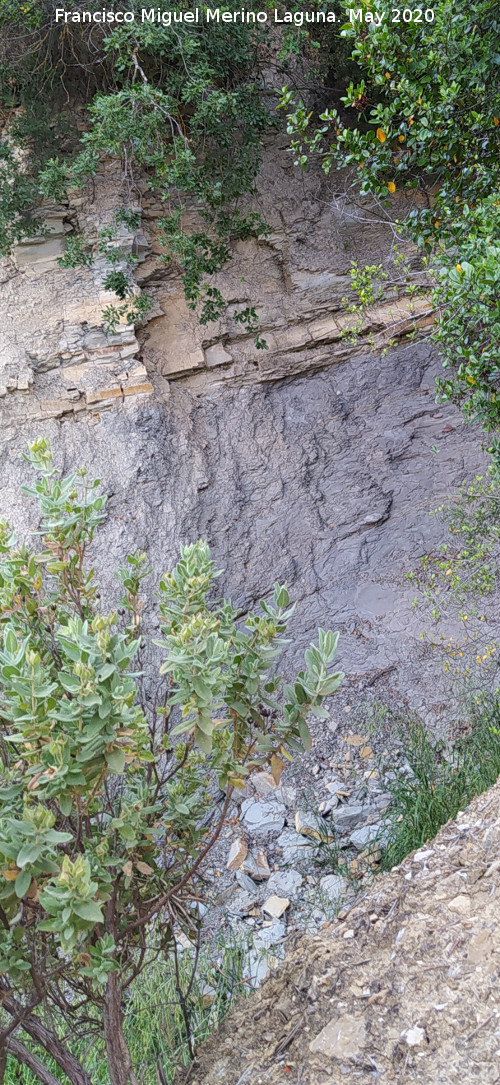 Arroyo de la Venta - Arroyo de la Venta. Curioso estrato de margacaliza
