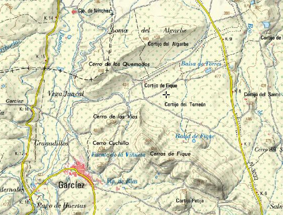 Torreón de Fique - Torreón de Fique. Mapa