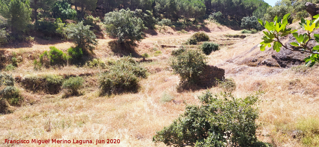 Bancales del Centenillo - Bancales del Centenillo. 