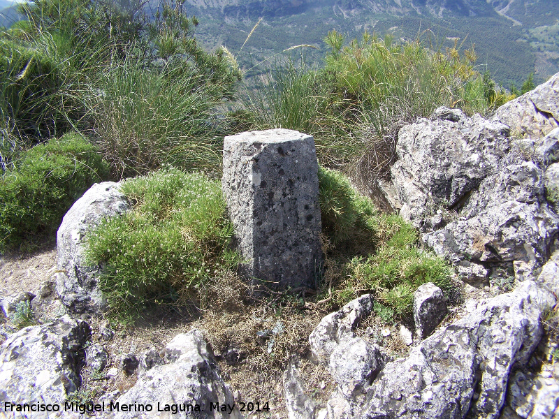 Cerro Matamulos - Cerro Matamulos. Mojón de separación de términos