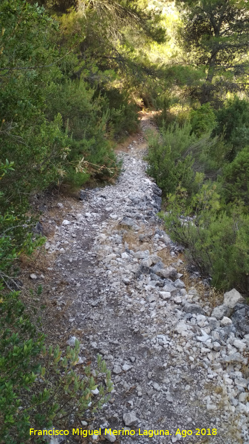 Caada del Sabinar - Caada del Sabinar. 